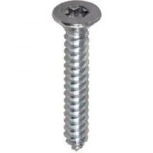 Alleen vandaag | ASF plaatschroef DIN 7982C-T 6.3x38 mm Torx T 30 RVS A2 82163346