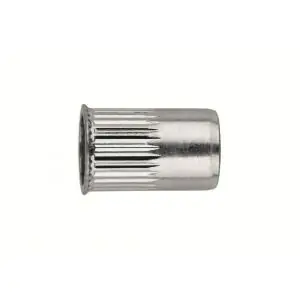 Index TR-CR blindklinkmoer vlakke kraag M10x19 mm verzinkt IXTRCR1019 | Snelle levering